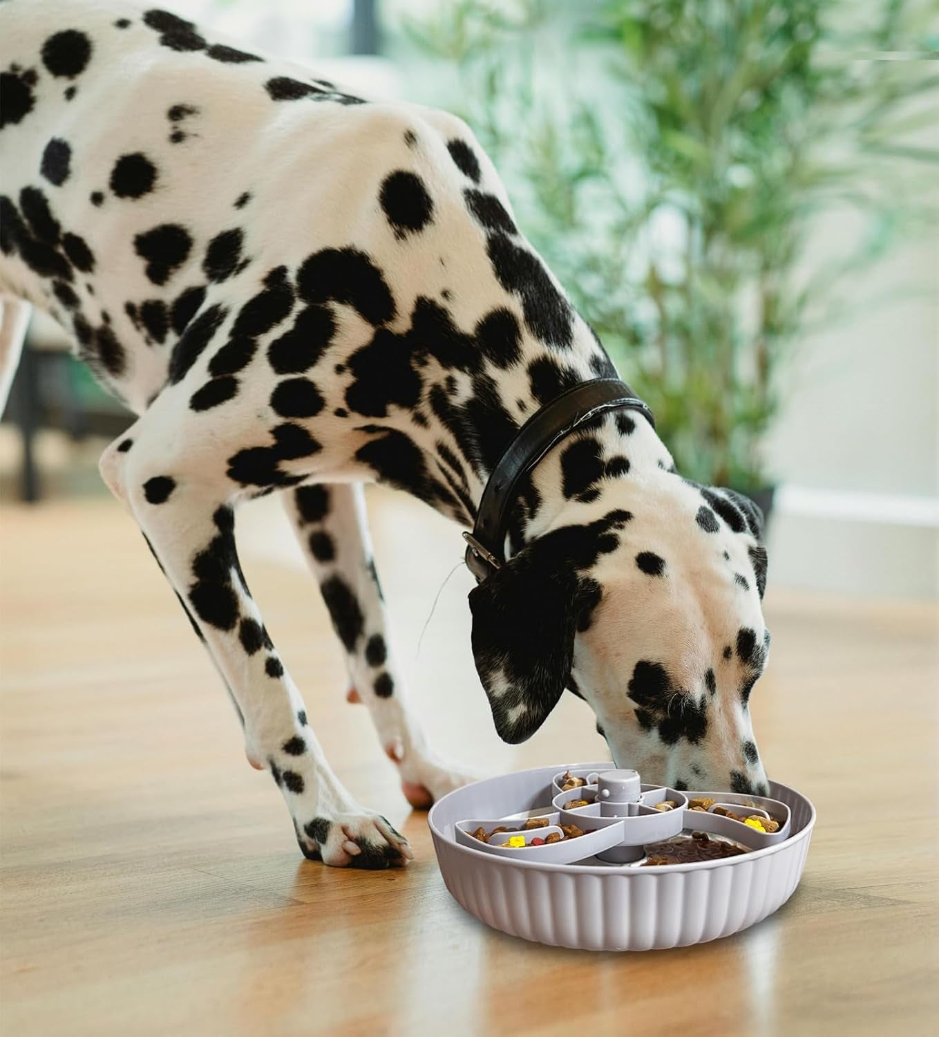 Slow Feeder Dog Bowl, Interactive Dog Puzzle Bowls Improve Your Dog'S Intelligence, anti Choke Dog Food Bowl with Lick Mat for Medium and Large Dogs