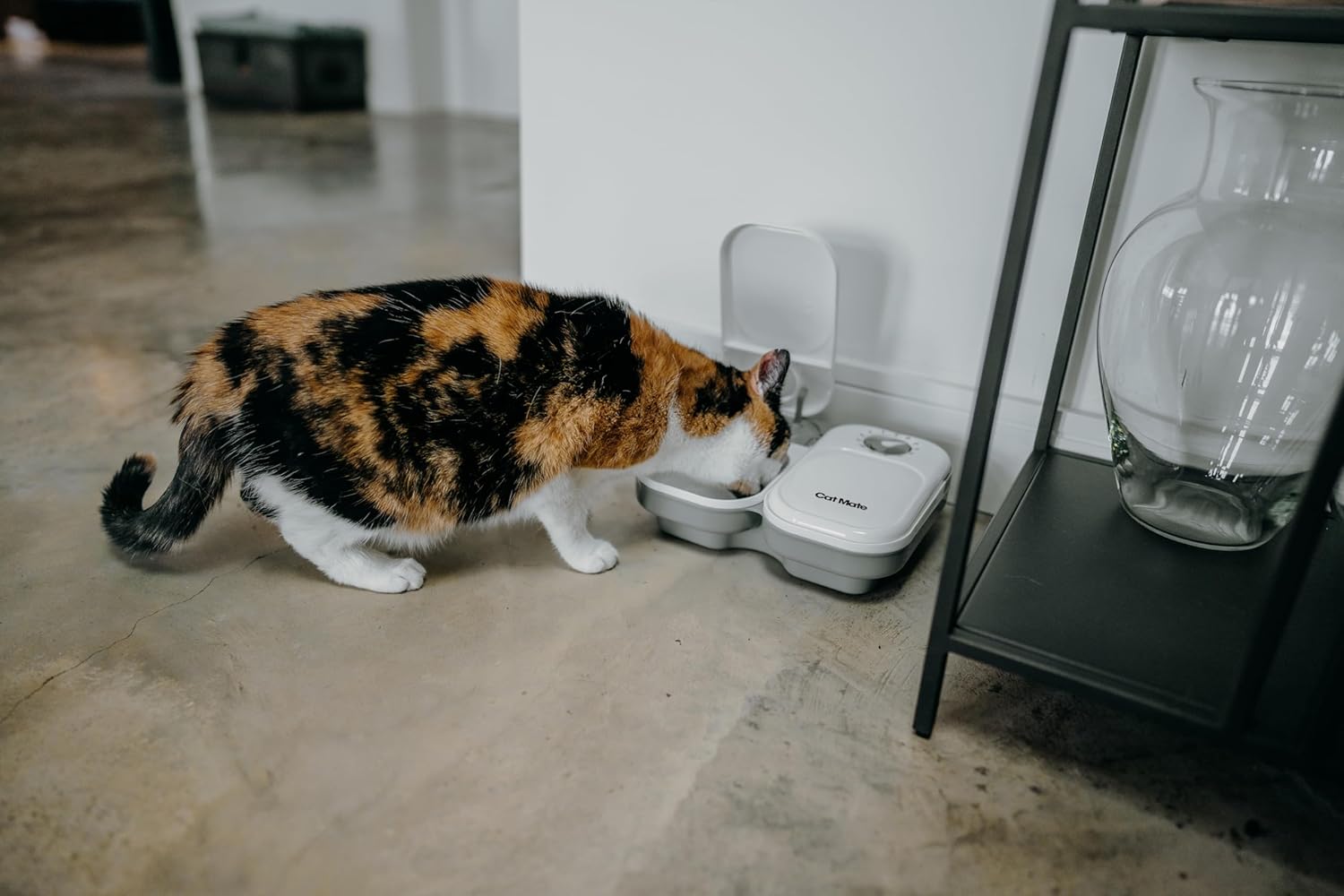 C200 Automatic 2 Meal Timer-Controlled Pet Feeder (401) - for Cats and Small Dogs, Includes Ice Pack for Wet and Dry Food, Meals up to 400 G Each, White