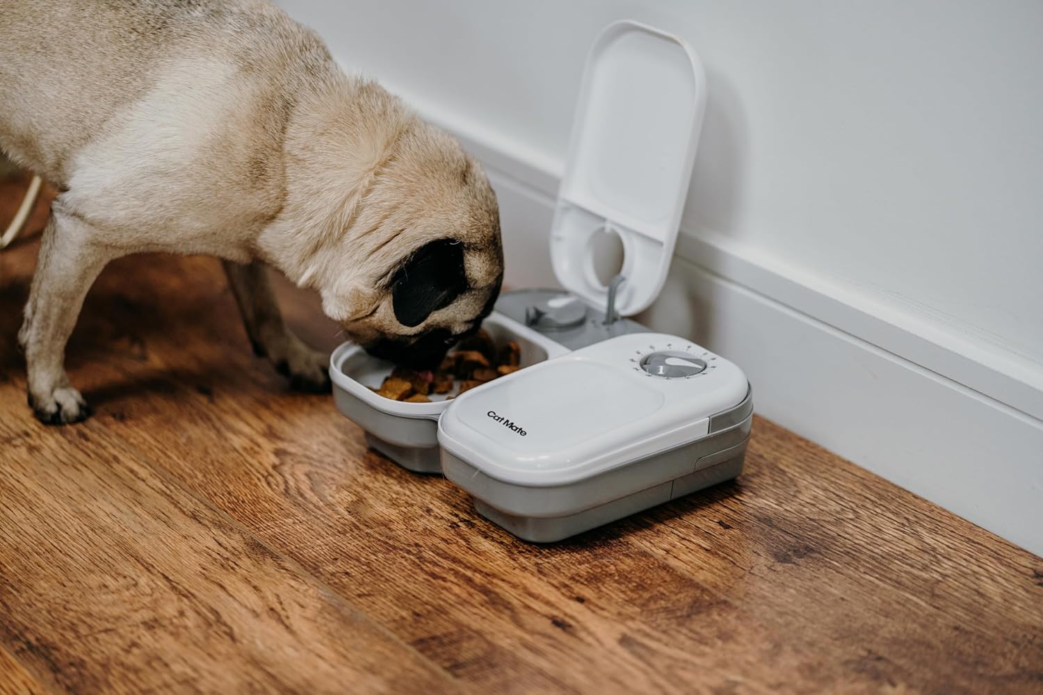 C200 Automatic 2 Meal Timer-Controlled Pet Feeder (401) - for Cats and Small Dogs, Includes Ice Pack for Wet and Dry Food, Meals up to 400 G Each, White
